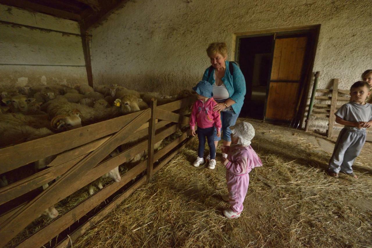 Bio Farma & Penzion Zlaty Hyl Novacany Extérieur photo