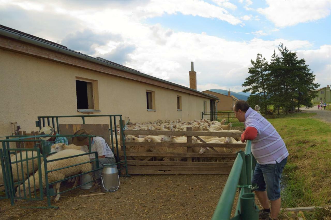 Bio Farma & Penzion Zlaty Hyl Novacany Extérieur photo