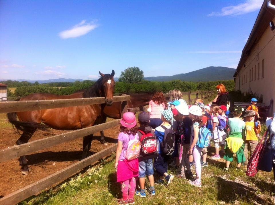 Bio Farma & Penzion Zlaty Hyl Novacany Extérieur photo