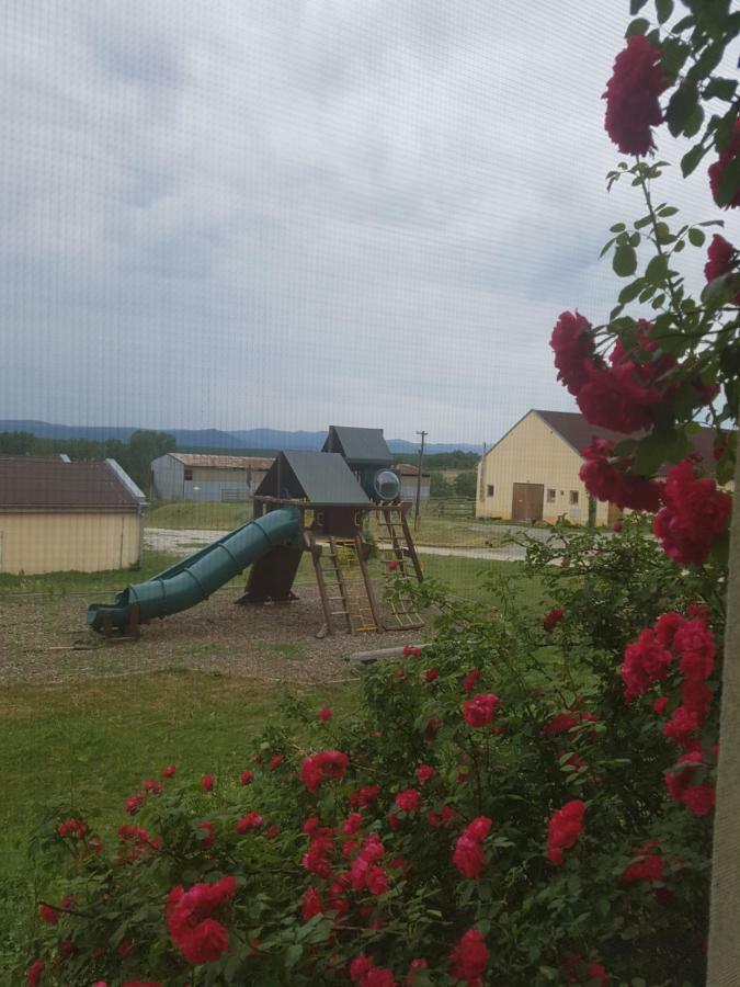 Bio Farma & Penzion Zlaty Hyl Novacany Extérieur photo
